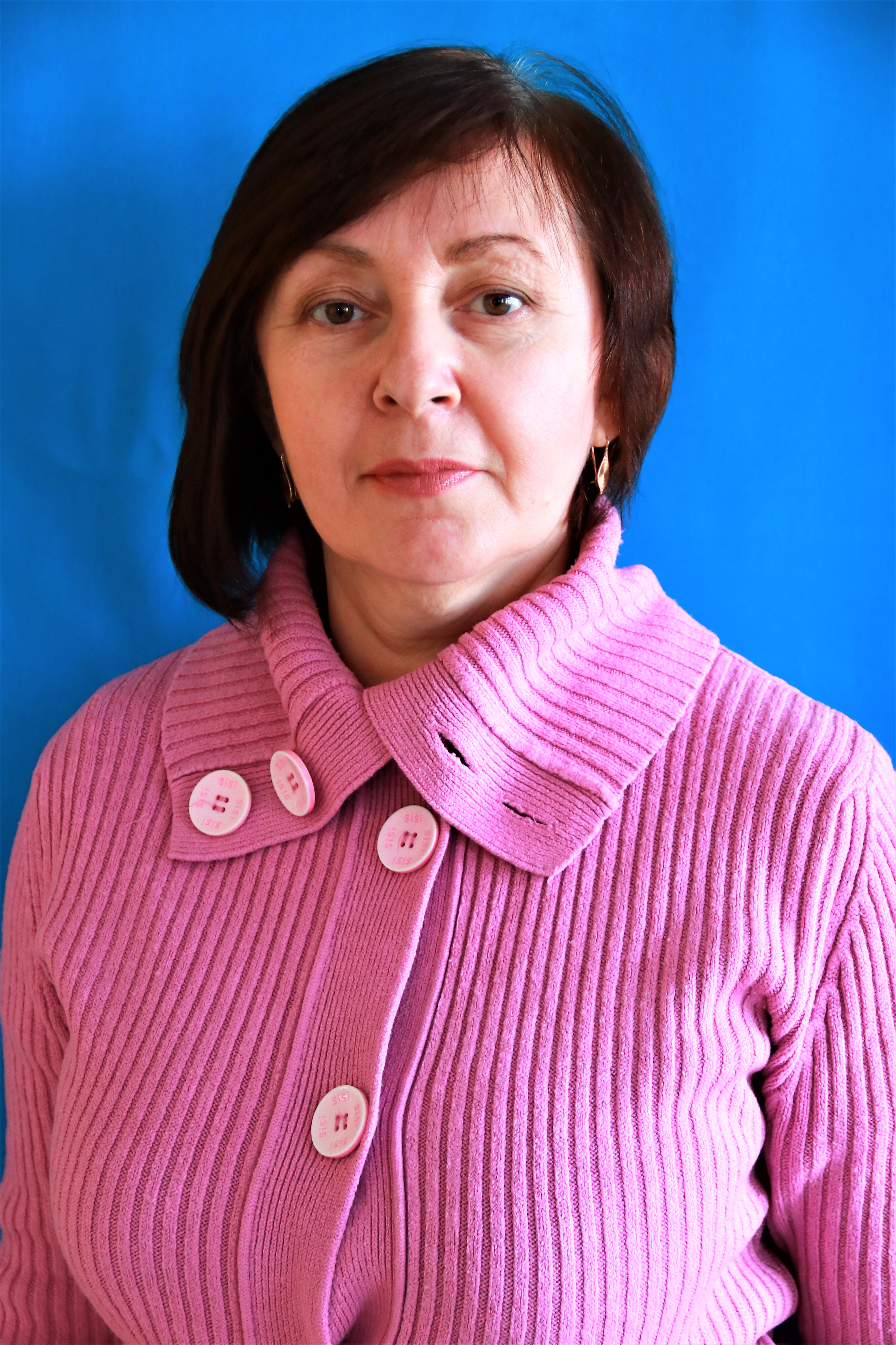 Педагогический работник Николаева Елена Анатольевна.